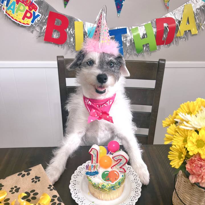 Fa0510b4 1fda 41e6 8a92 e63668fb30b0 1676154860224