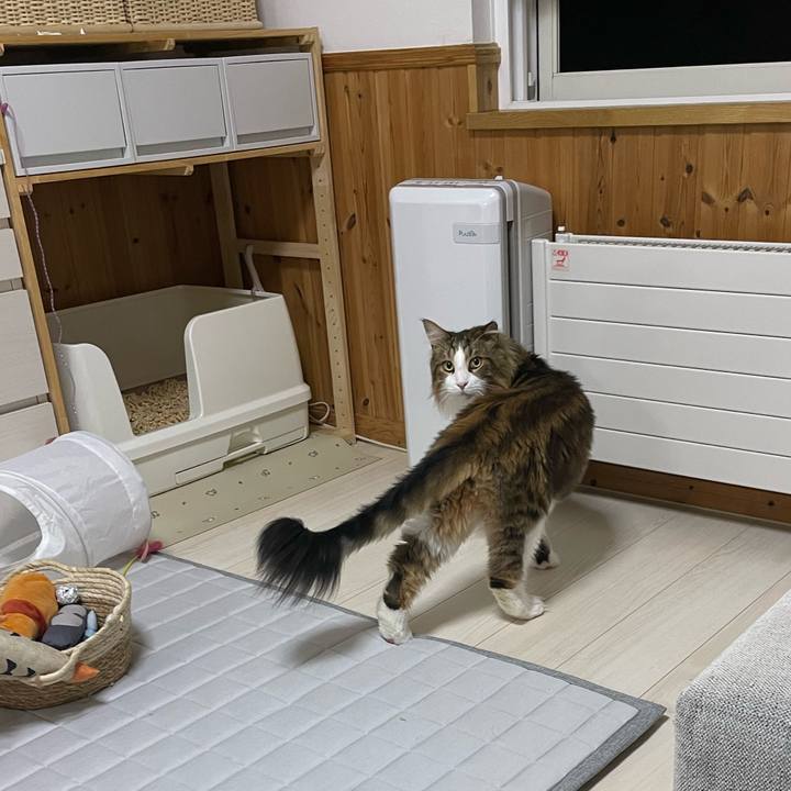 Fa051c4b 4f73 480d 89ef 8019df4ced6f 1694028727504