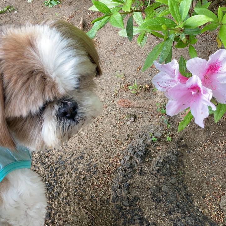 Fa054cce 494c 464b 923d 218d4c7b0ec6 1618554758630