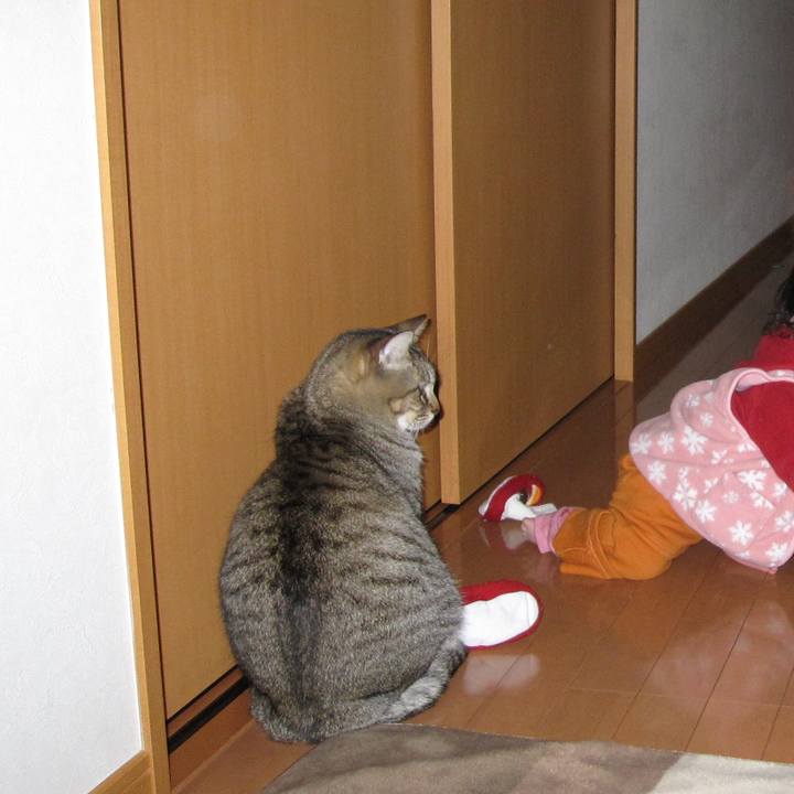 Fa0557b1 605f 4ad0 9564 a2b811c54ff0 1593302408435