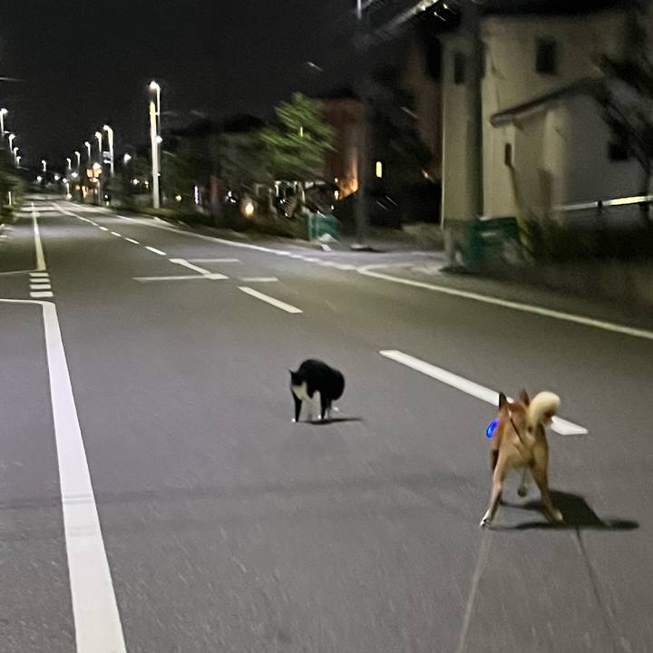 Fa0563f2 15f5 48f3 816f a2a2882fe820 1692617408082