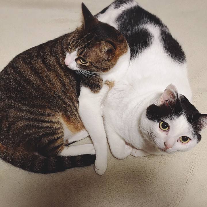 Fa0586c9 004a 4553 af99 f36799b3c3a2 1610035056436