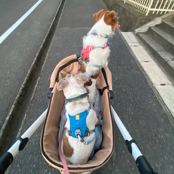 Fa05876e 7cb4 498d adb0 a6bf195fb9f7 1720177393110