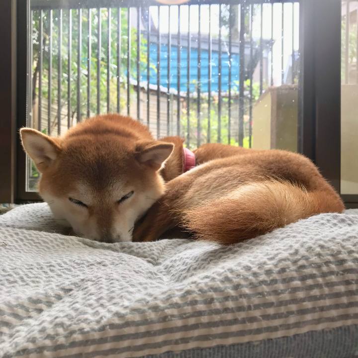 Fa0591b1 65b1 4a77 bef6 6cdb1de064e5 1508153832421