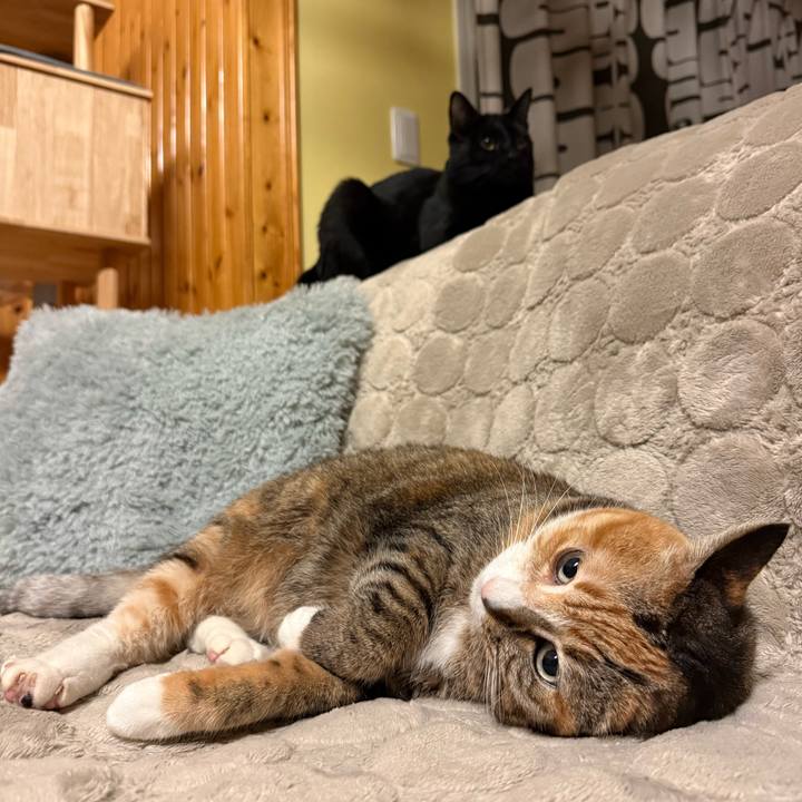 Fa05ab27 ceea 4586 8496 2e9485d13f62 1773748166746