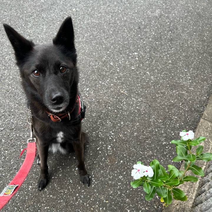 Fa05d15b ef4d 4be9 814f 575798b2972d 1665888407866