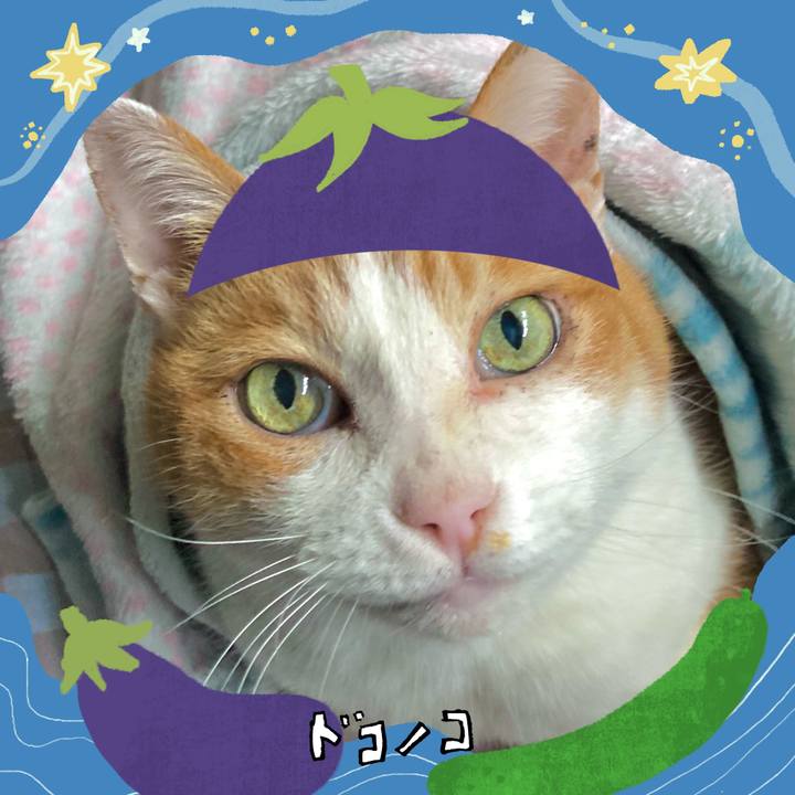 Fa05fa2d 4c82 413d b349 fcbc05b0b94c 1755336309891