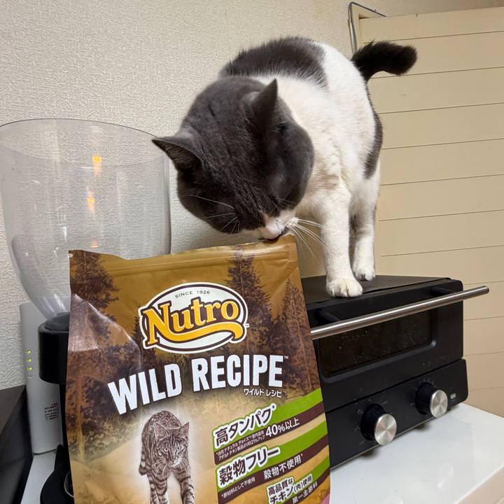 Fa063281 0d4f 43f0 9565 30a7c66af028 1768709245798