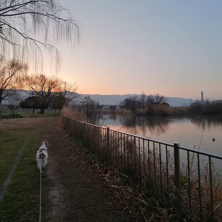 Fa0639f4 c537 4084 8817 a05d5ee14ad4 1613002665575