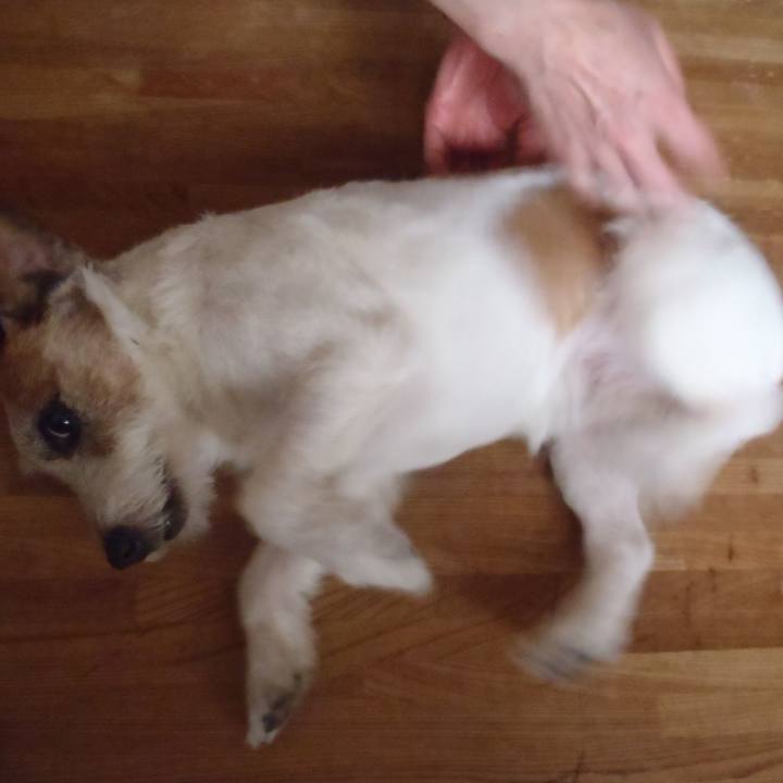 Fa0663d6 65c3 495a b0a1 6e1aa120e192 1538383877646