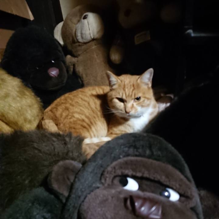 Fa06ff65 8b77 4236 b015 097d1d45f19e 1607851679348