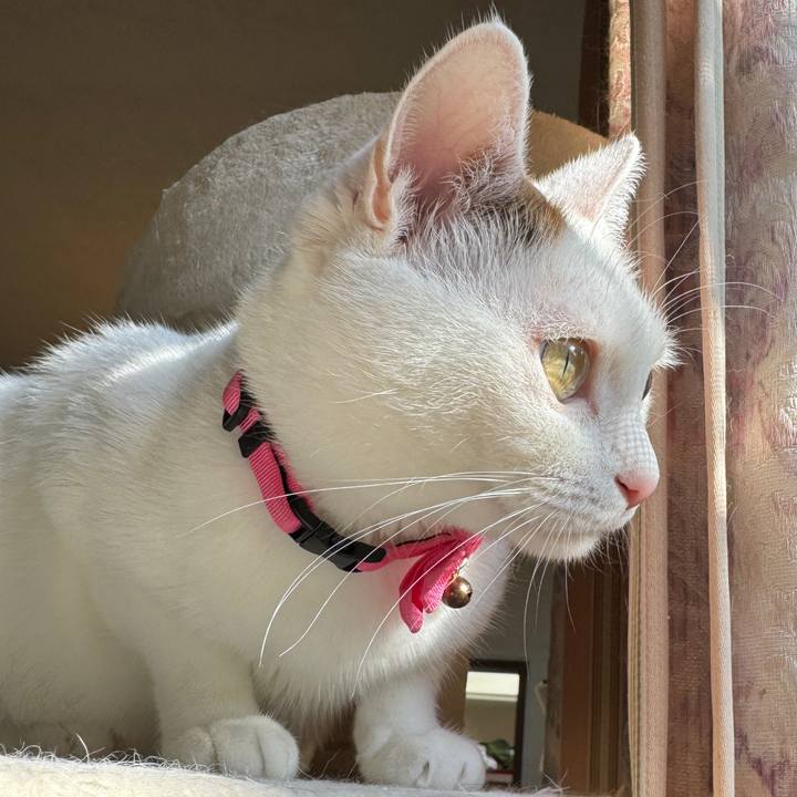 Fa0718a4 145d 48bc b491 9df1bd387ea1 1762005990100