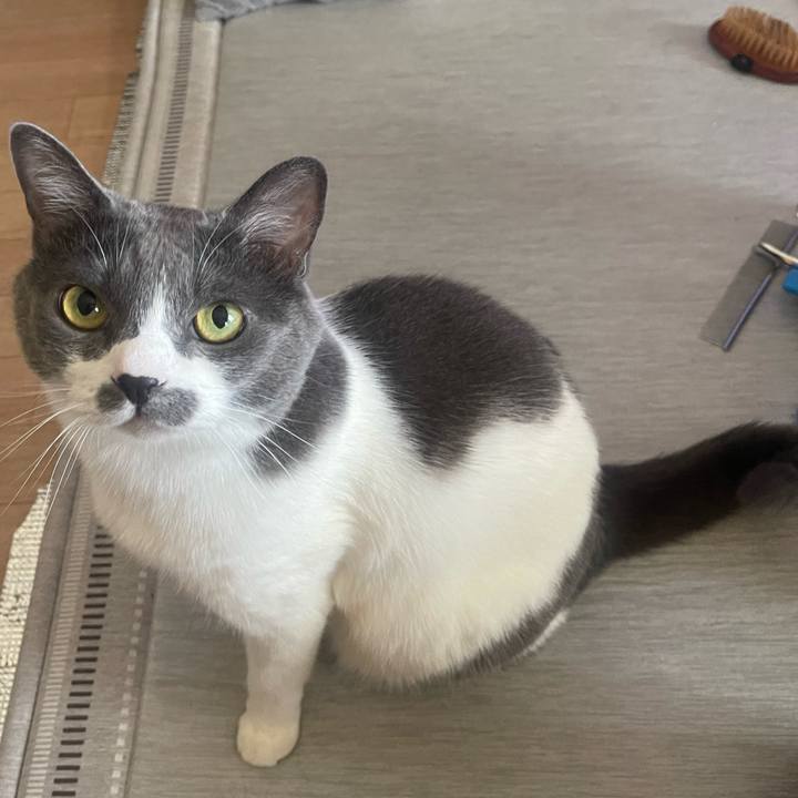 Fa072269 573f 4e6c b734 94ba411151a5 1756611425591