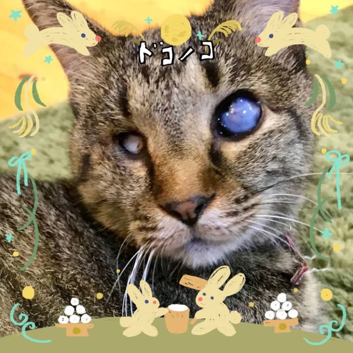 Fa072626 c4d3 4684 9698 c9a4180f438e 1726907395427