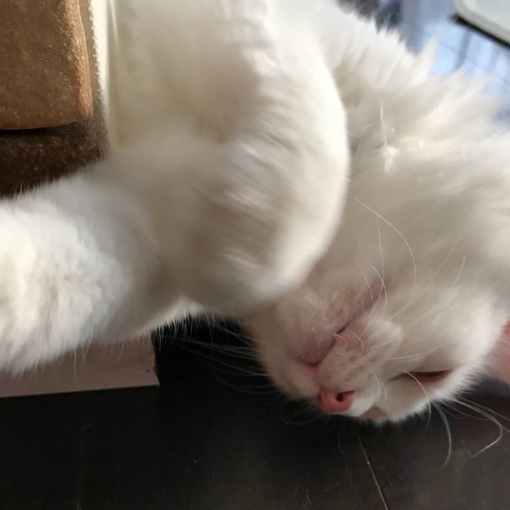 Fa072817 d83f 45be a0ea 4ca9cd6bee1f 1528113470127