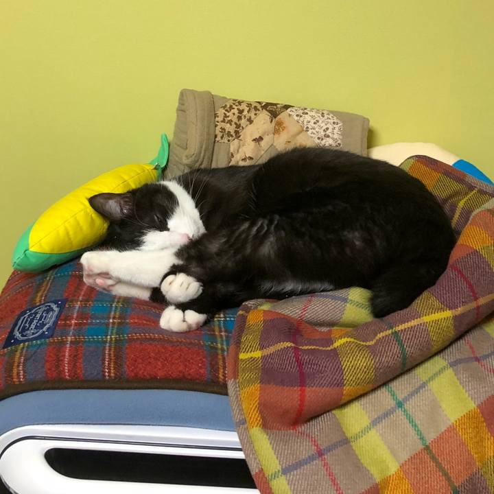 Fa07350e 38da 4edf 9f07 e9f890c4318a 1514723948042