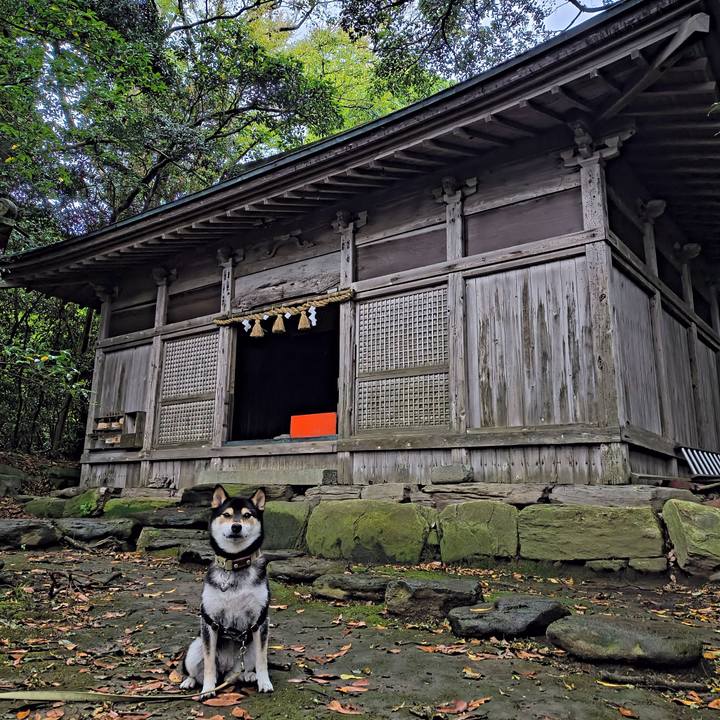 Fa0752f4 8f00 4ddc a69e a120c83e098e 1761918708771