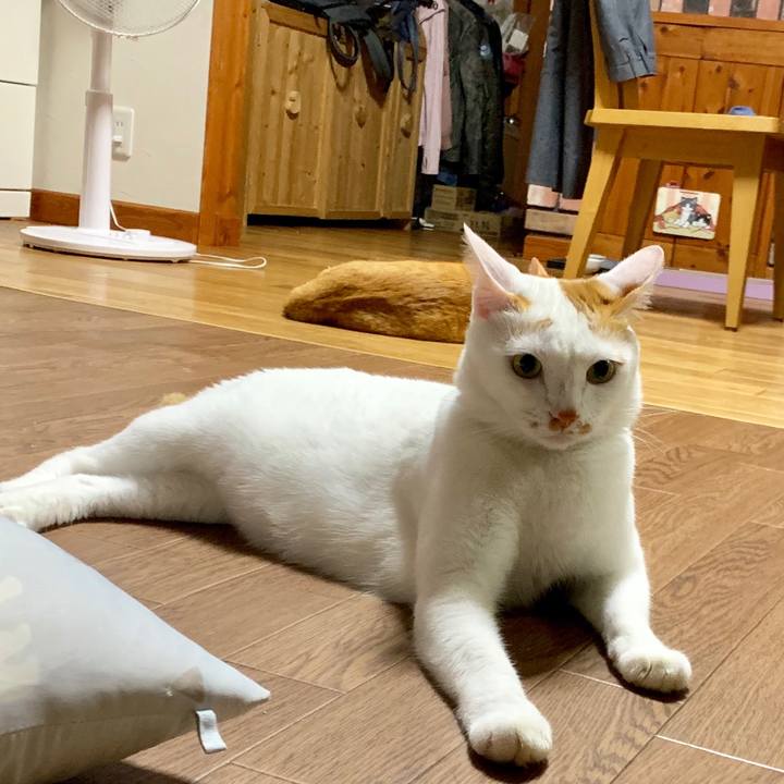 Fa075928 f87e 4056 8311 b0aa93e1d0a4 1566627106519