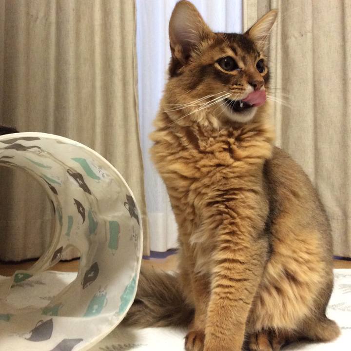 Fa076493 ad73 42eb b87f d0658e277559 1577399913675