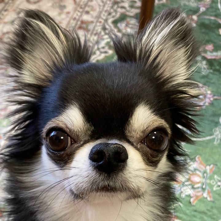 Fa078c7b 7a6f 4d41 9262 221b50781bfd 1651621670265