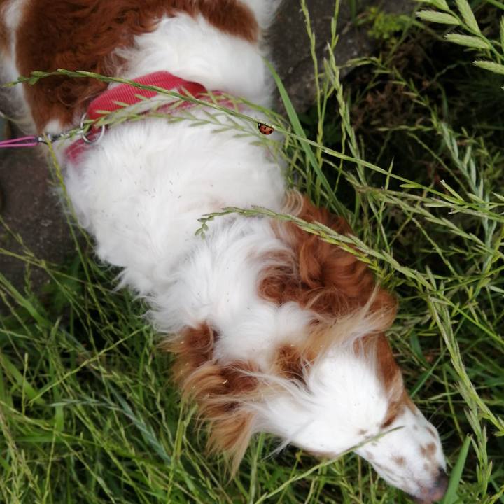 Fa07cabf e131 4d19 9577 46677e63276e 1590156070418