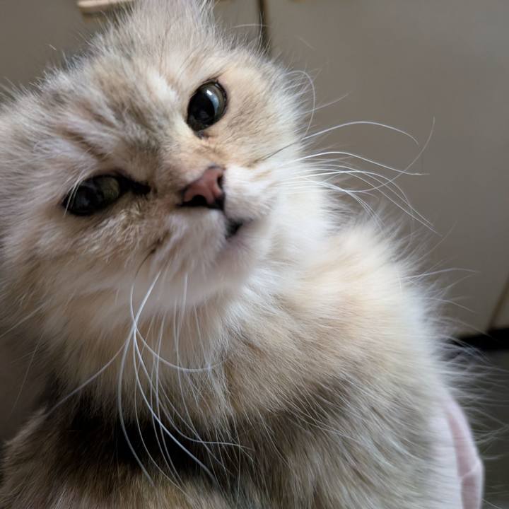 Fa07da8a 8c85 4a69 8511 3930c01011a0 1753875955875