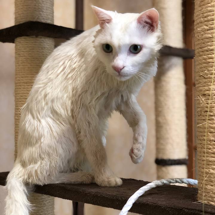 Fa07eb09 370b 4cd9 9b82 18eb116137c6 1563182626536