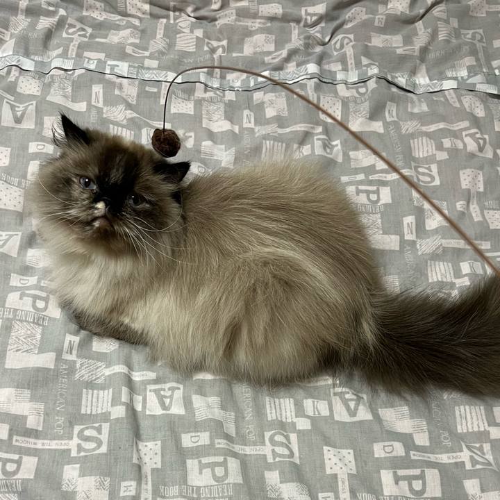 Fa0833b1 e11d 47fd 9344 51b3ab87d11c 1749039791603