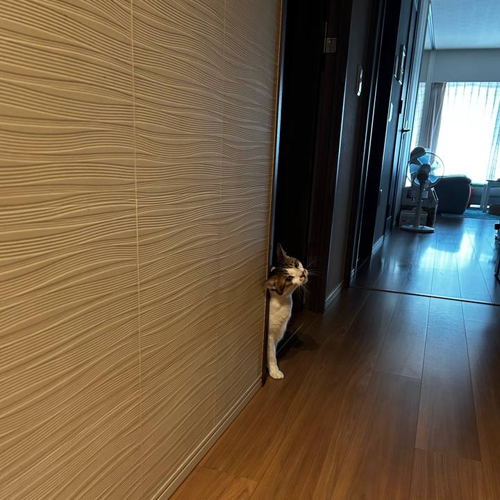 Fa0846a8 5377 4307 b6aa 9b757d565f49 1759028680307