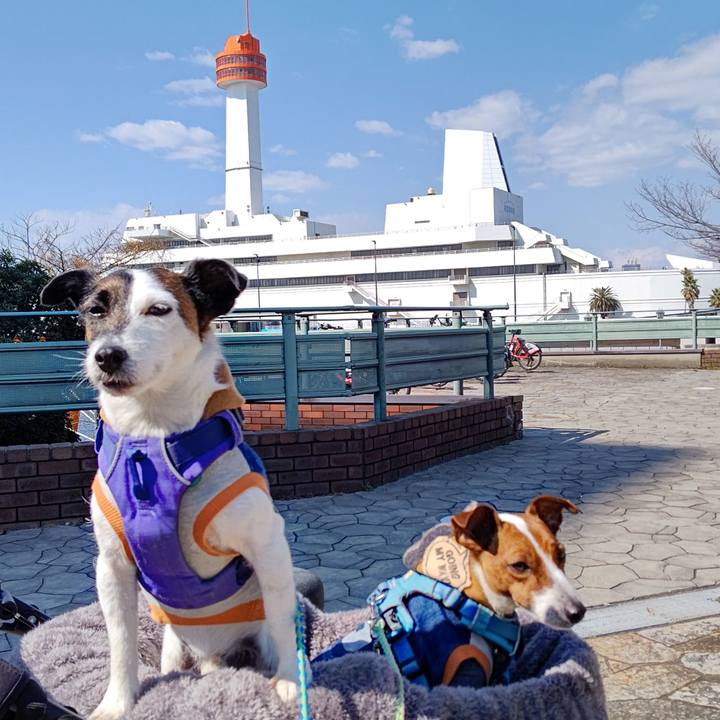 Fa085cd9 5d0c 4163 b26b ba4f367e381b 1645941380623