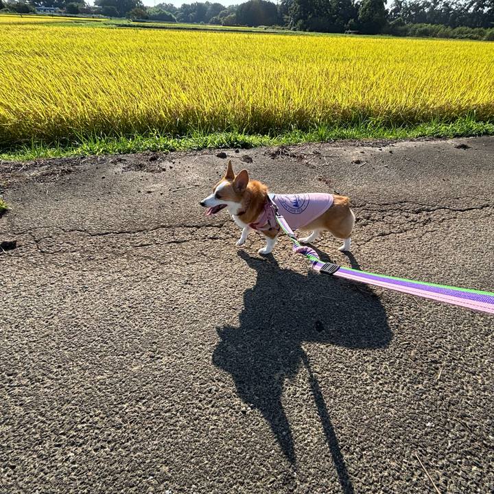 Fa087804 4ea3 4a8f 94cd dc89d9907195 1757217490615