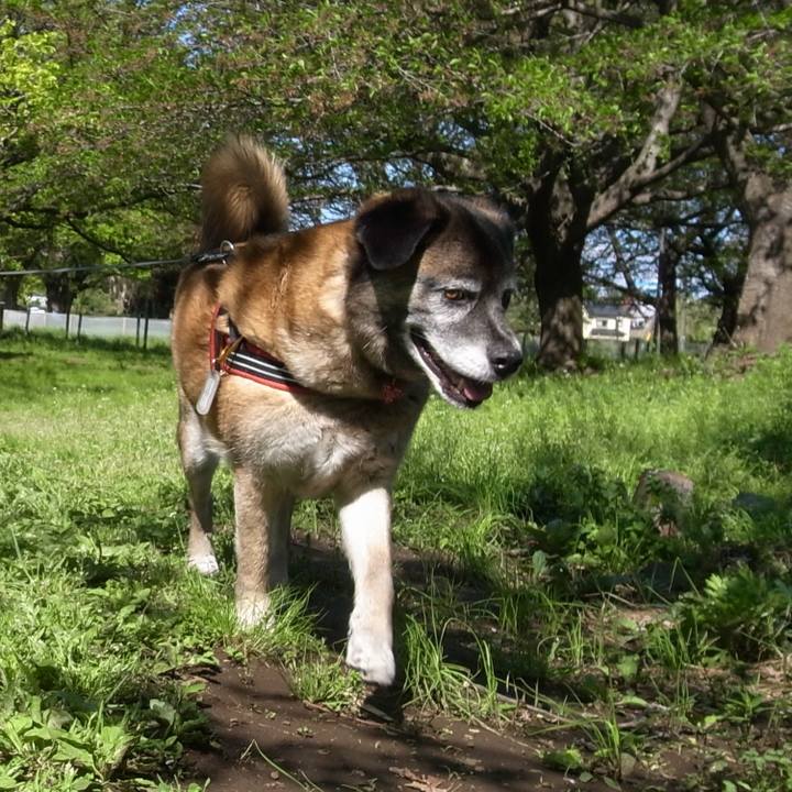 Fa087b83 91dc 437f 8a84 c8cbd37da241 1604709952772