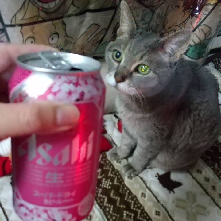 Fa088746 2550 4ad4 ac47 aa8ad997a2a2 1726056701438