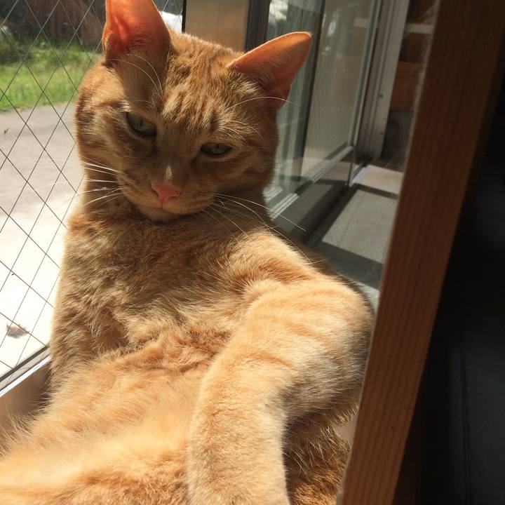 Fa08907b 390c 471f 9d44 e47022da6655 1527996743431