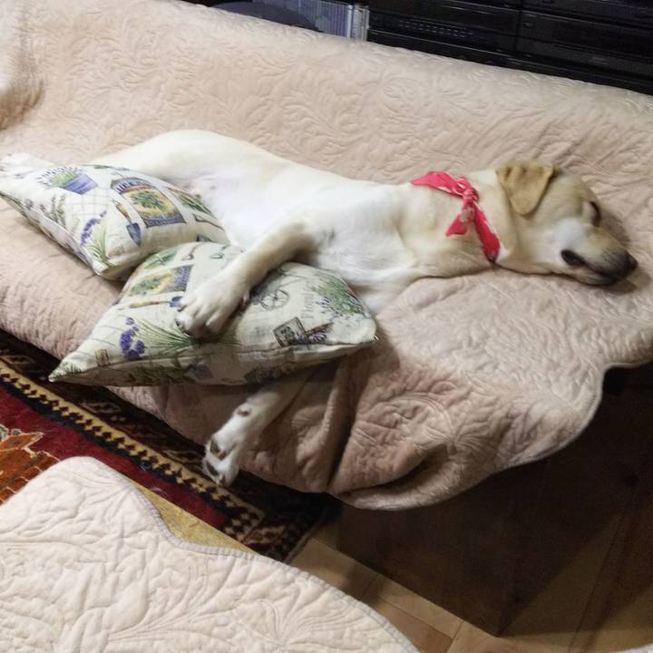 Fa08d491 7fb5 47e3 80ea fe15af934abc 1550834929576