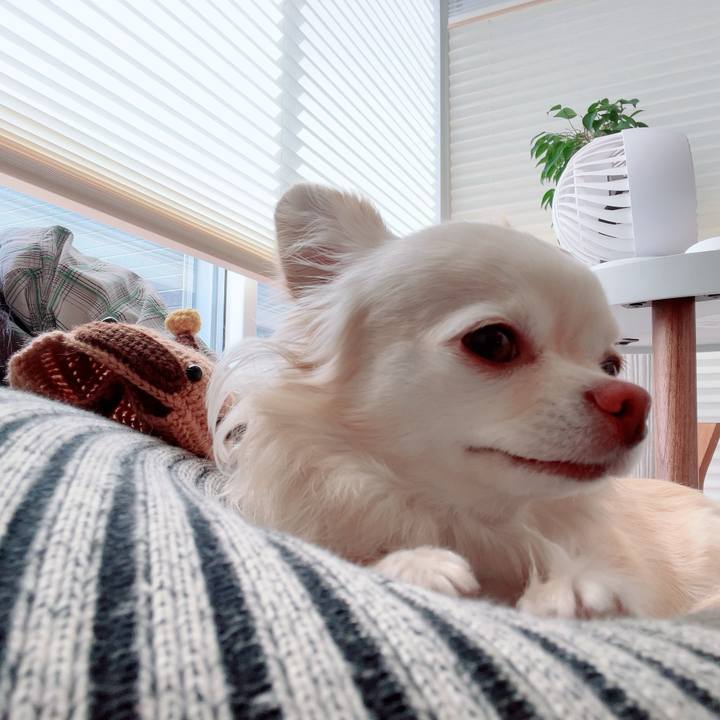 Fa08e14c be4c 4528 9042 53af7626081f 1711884789393