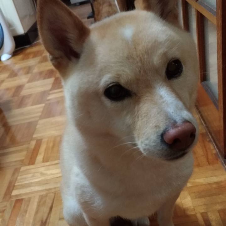 Fa08f969 9aab 468f b379 b0a47e2ad3d0 1590447662924