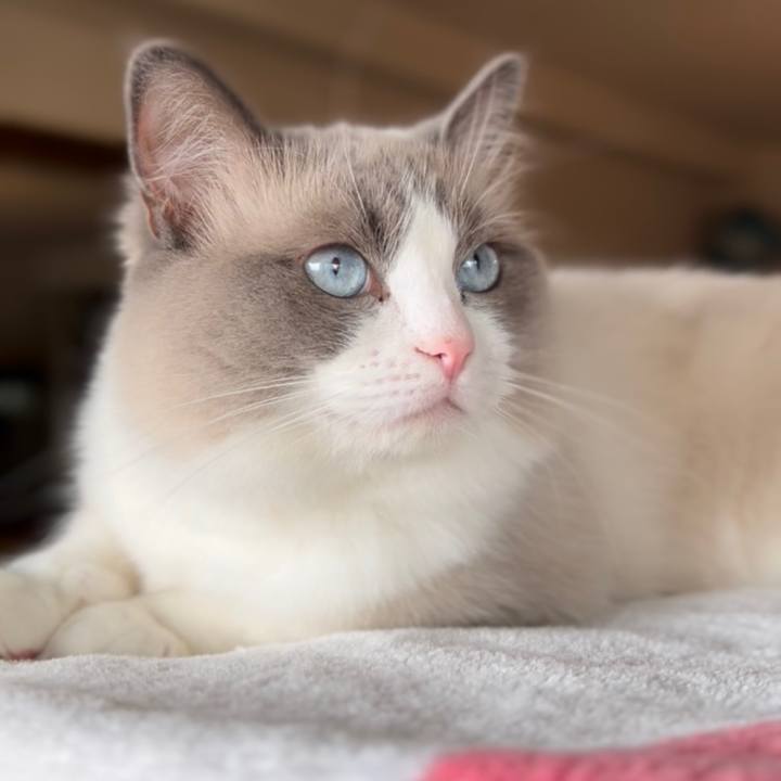 Fa08fcf4 38b2 4d94 b13d 49695828568f 1651800453180