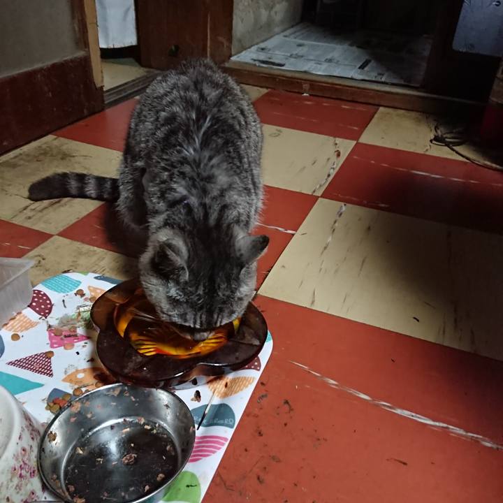 Fa098931 7947 4570 bcbe a5d36dedf66e 1590350242071