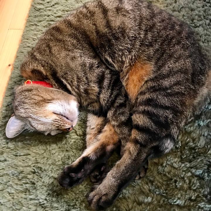 Fa098cde f7df 4b29 8ec7 4d0c90e2370f 1552877730374