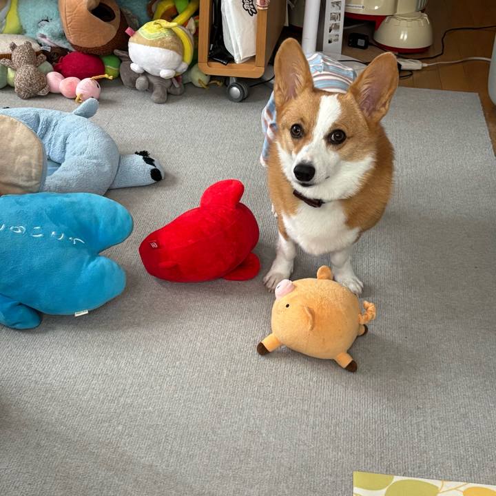 Fa09a4a8 bf09 47d4 abc0 705d6c7dc3a5 1757734724615