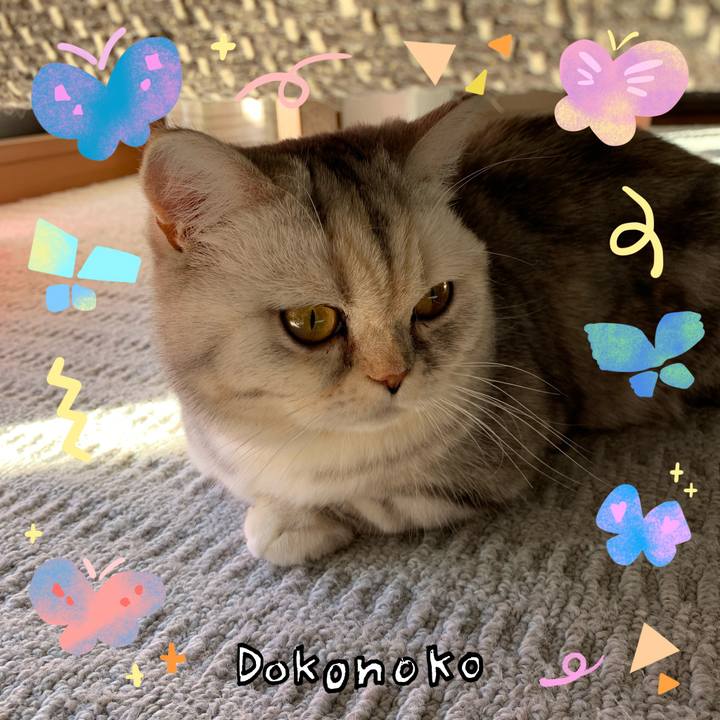 Fa0a0ef9 8442 46b5 b5db ca01a2c7205a 1711059788121