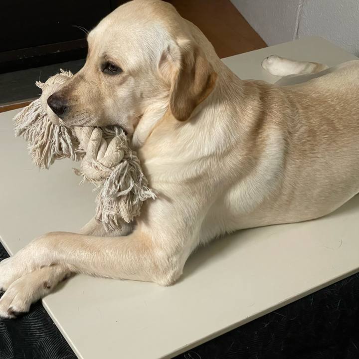 Fa0a3fef 8b9d 44c5 bec1 5ff99ce9ccdc 1641778137661