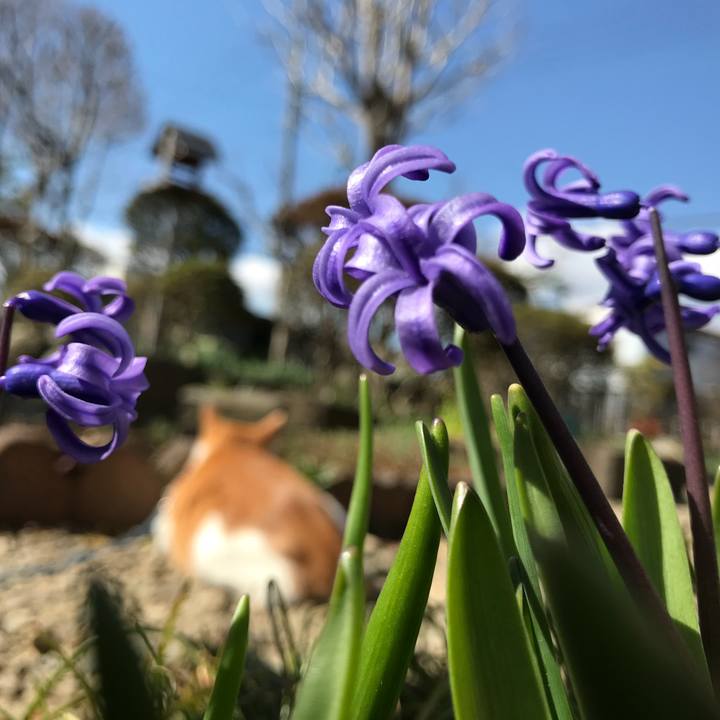 Fa0a5783 ecc4 42a9 96d5 040f44ab8f6e 1522369980040