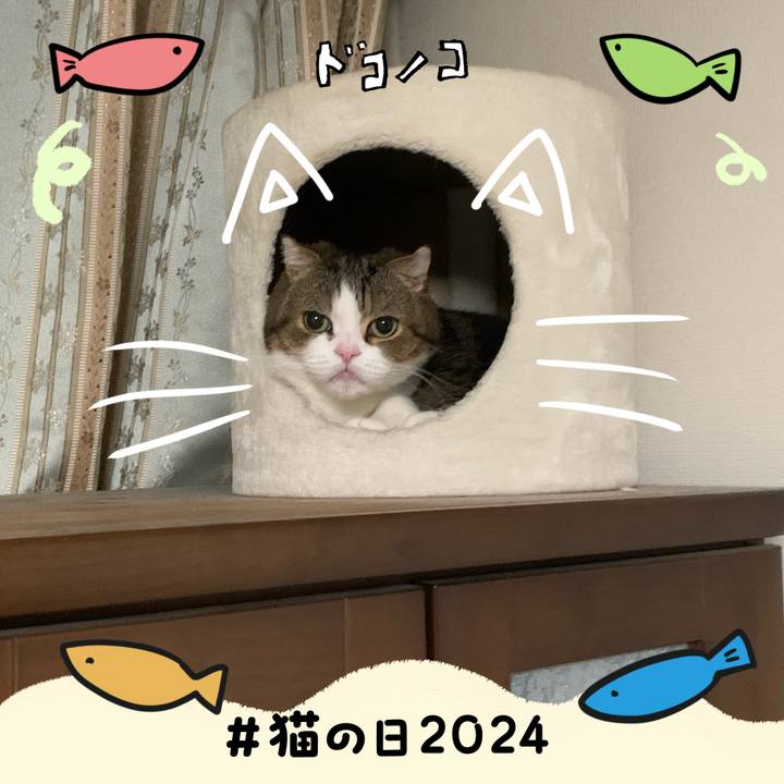 Fa0a5ebb f674 4aef 8782 5d4eeb37a93d 1708586183238