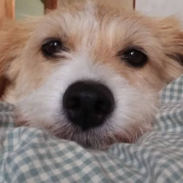 Fa0a6c22 16f8 4561 a164 3031fbe001a8 1530847713955