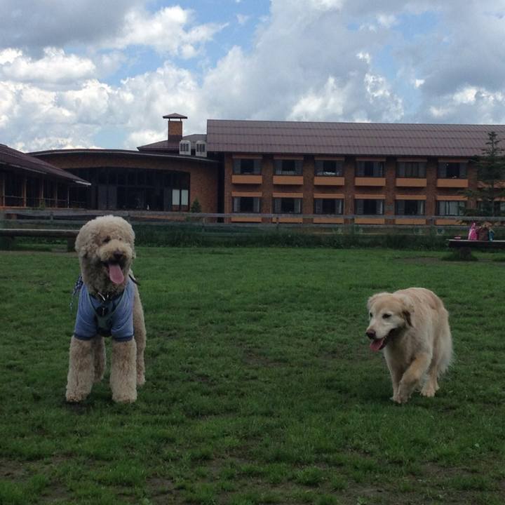 Fa0a7b92 3399 407a a794 50da1302a76d 1527860835402