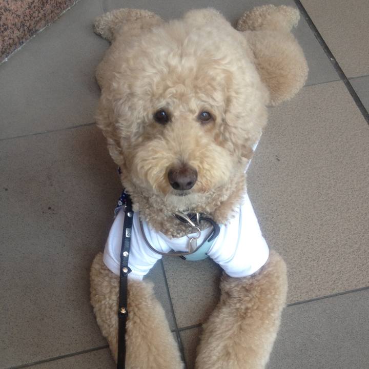 Fa0aac26 d1ae 4aca 9521 74101fa56b56 1590816347096