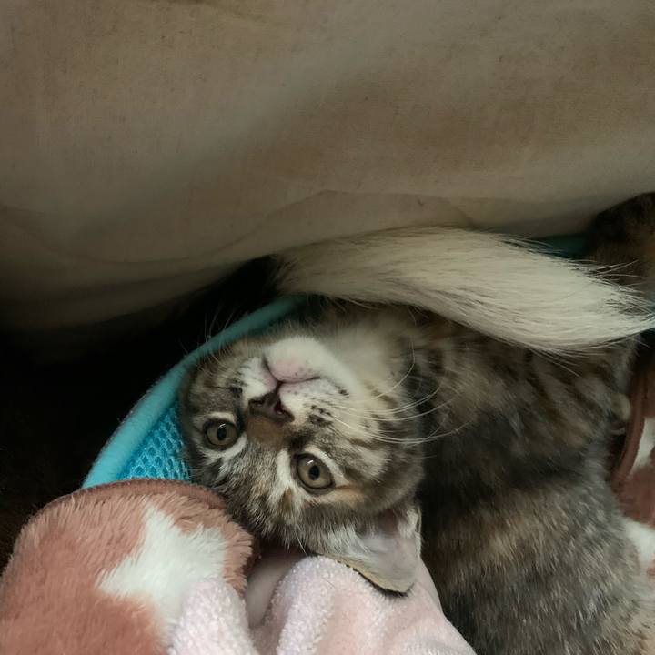 Fa0abd49 148c 45de 9fc0 386715ab9d22 1590902377184