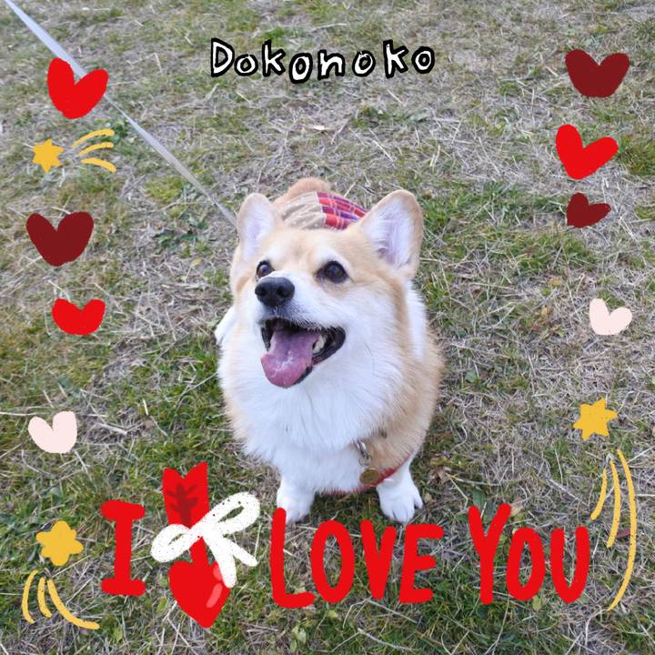 Fa0b016f c00a 415e 95ad accbe862bdb9 1706878462819